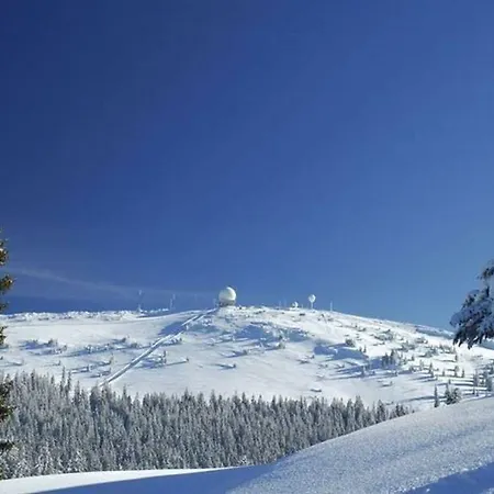 Refuge Des Cimes Apartment Premanon